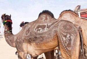 Design on camel skin with hair cut