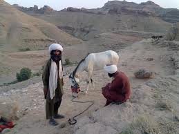 Balochi Horse rider in the terrians of Balochistan