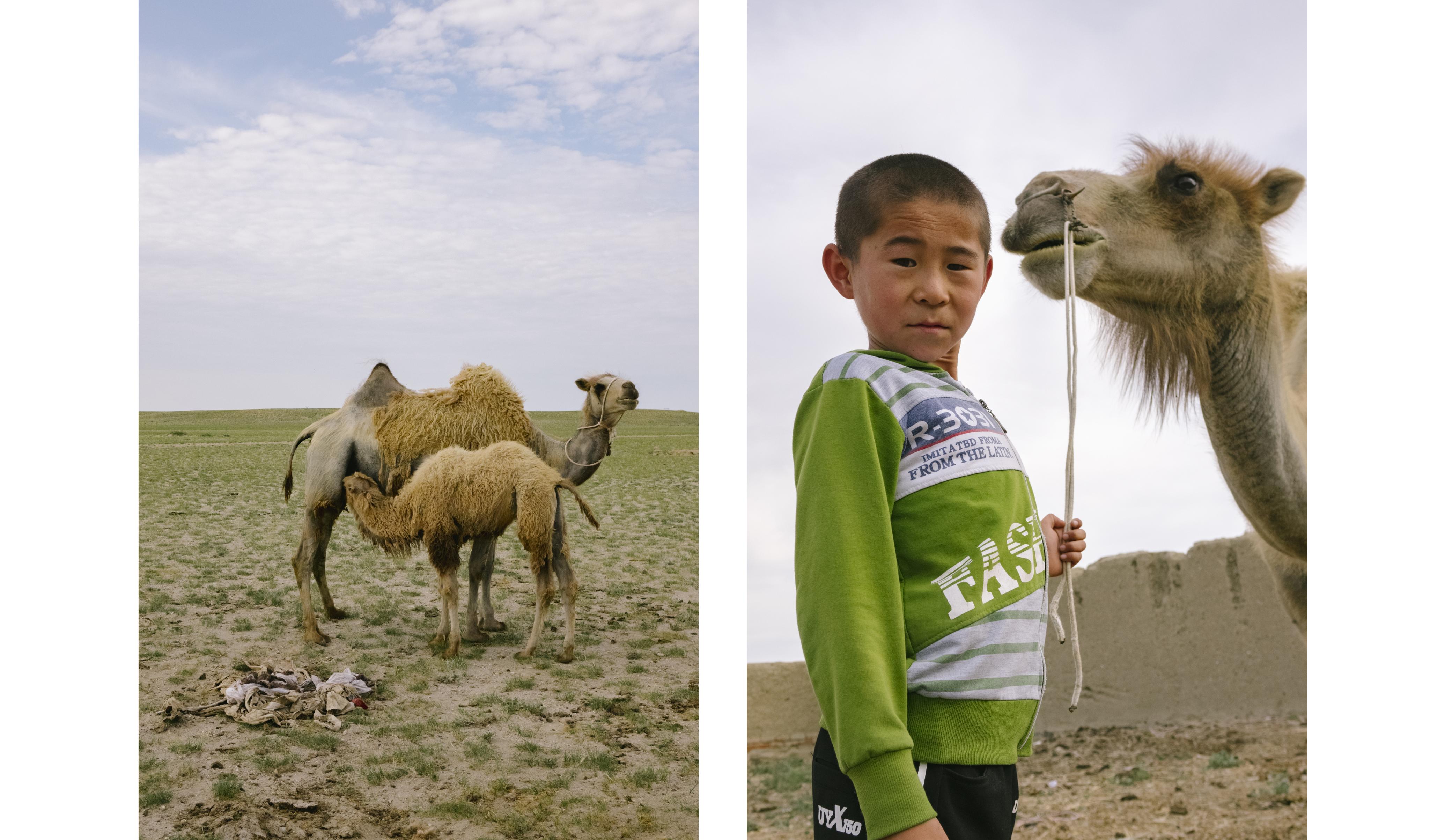Jiali_camelmilk_DSC06565-copy-1.jpg