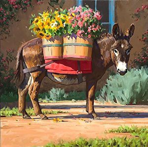 Donkey art beauty