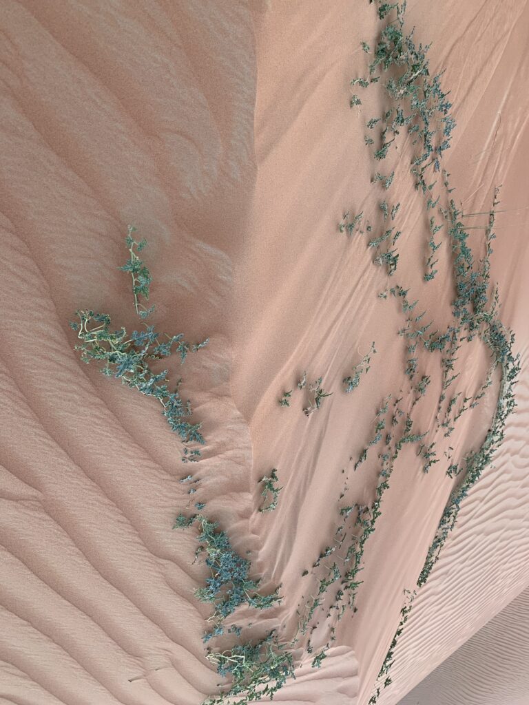 Citrulus halting the flow of the sands