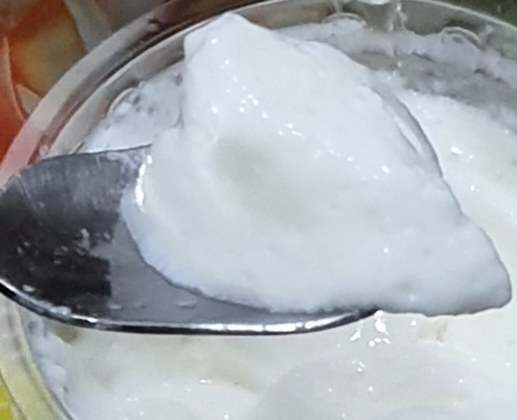 camel milk yogurt