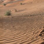 The beauty of the desert landscape