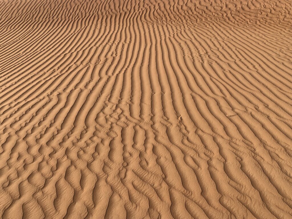 The wind is an artist, making beautiful design on the sand