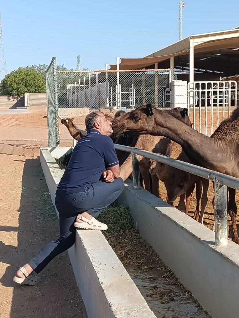 The male calve wants to read my intention